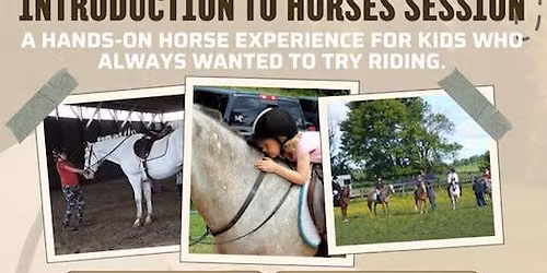 Free Introduction to Horses Session