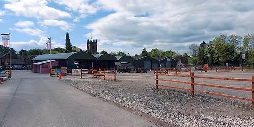 Bonsai Fair - Penkridge