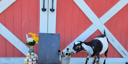 Paint with Goats