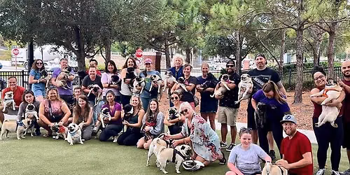 July Tampa Bay Pug Meetup