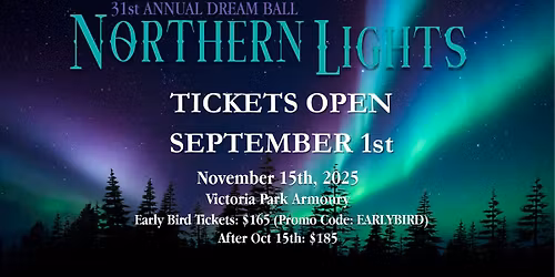 31st Annual Dream Ball - Northern Lights