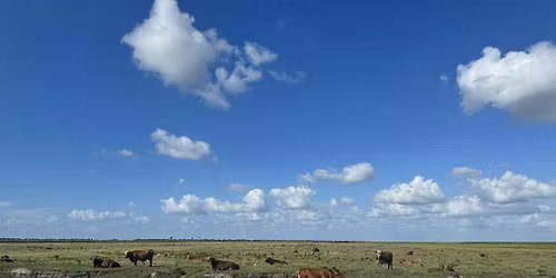 Highlands County Extension Livestock Ag Tour
