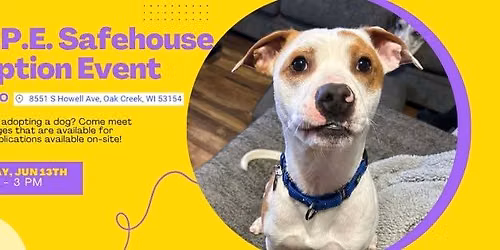 H.O.P.E. Safehouse Adoption Event @ Petco in Oak Creek