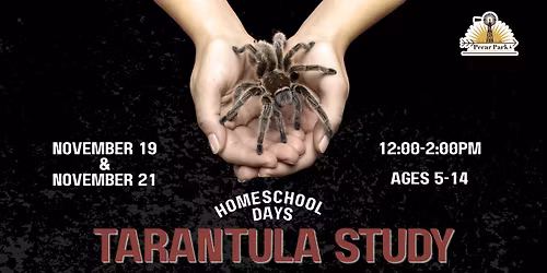 Homeschool Days - Tarantula Study 