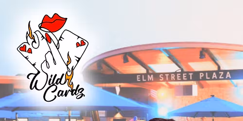 Wild Cardz Duo @ Elm St. Plaza, WI Dells