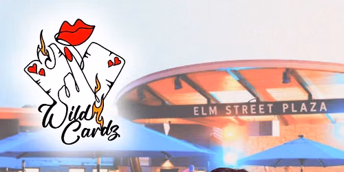 Wild Cardz Duo @ Elm St. Plaza, WI Dells