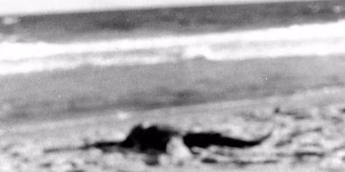 Nando Reis, Paula Toller in S\u00e3o Paulo