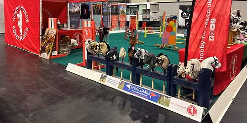 Hobby Horsing - Thompson House Equestrian - Wigan