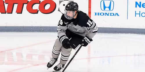 Vermont Catamounts at Providence College Friars Mens Hockey at Schneider Arena