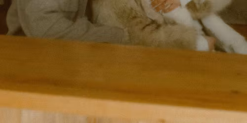 Trent and Ava\u2019s Stag n Doe \ud83e\udea9\ud83e\udd42