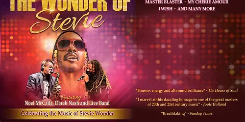 The Wonder of Stevie