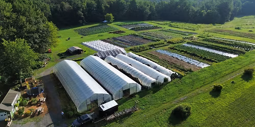 Open Farm and Store! Saturdays 10am - 2pm till Christmas