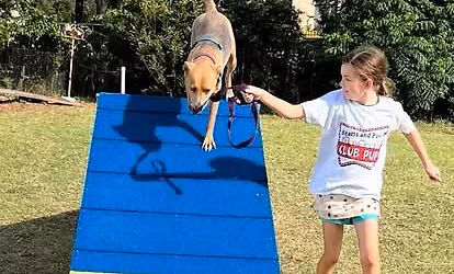 Club Pup Camp - Kids Summer Day Camp