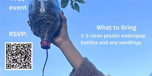 Upcycled Hydroponics for Beginners