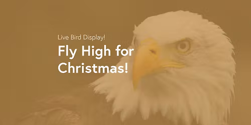 Fly High For Christmas!
