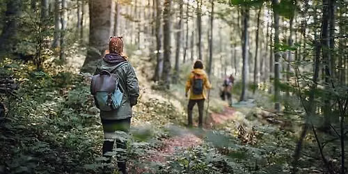 Mountain Mindful Walk with Suzy Conroy