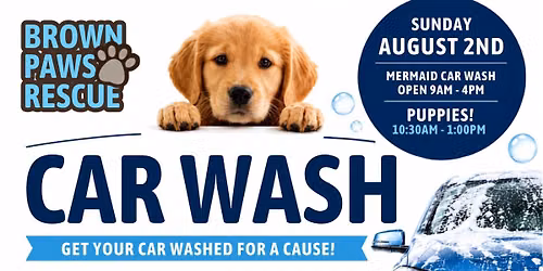 Clean Car for a Cause | Brown Paws Rescue Charity Car Wash