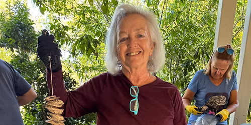 Vertical Oyster Garden Workshop