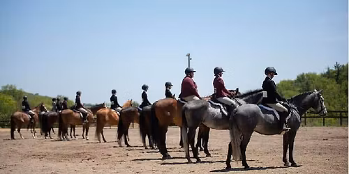 Wild & Wooly Open Schooling Series Show