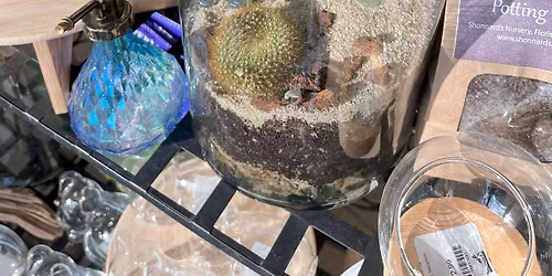 Creating A Terrarium Workshop