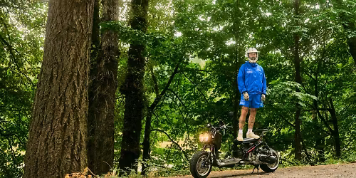 Portugal. The Man in Hamburg