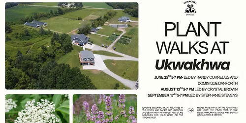 Plant Walks at Ukwakhwa