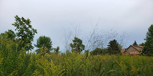 *FREE* Take a Walk on the WILD Side: at the WILD Center