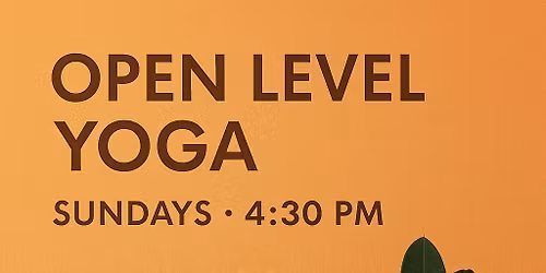 Open Level Yoga