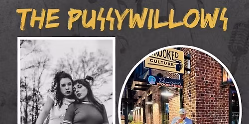 THE PUSSYWILLOWS live at Crooked Culture Brewing