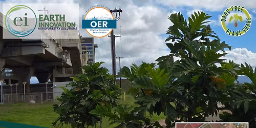 Ho'opili Skyline Station Plant Share