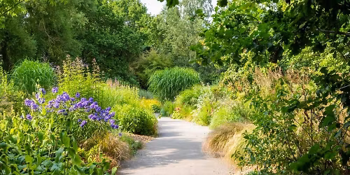 Rememberance Walk and Nature Reflection