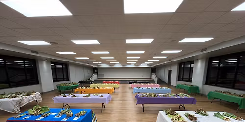 Middle TN Iris Society 2026 Sale