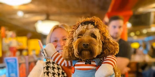 Halloween Doodle\/Poodle Pup Up Cafe - Birmingham\ud83c\udf83