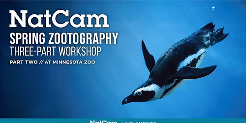 Spring Zootography Workshop w\/ NCE: Part 2 - Live at MN Zoo