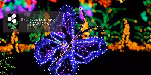 ah tempo Flute Choir at the Garden d'Lights