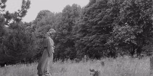Guided cemetery walk