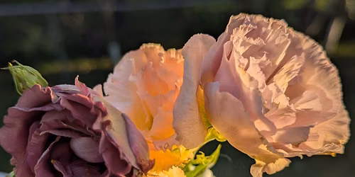 Afternoon in Bloom - A Summer Tea and Flower Arranging Workshop