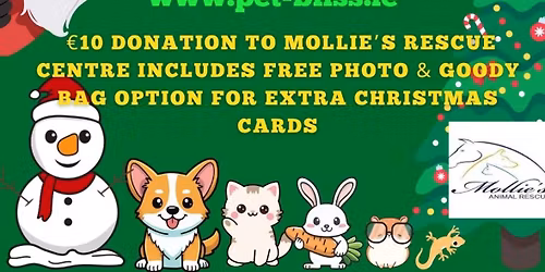 Santa Paws at Pet Bliss Drogheda\ud83c\udf85\ud83c\udffc\ud83d\udc3e