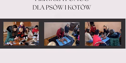 Szczecin- Pierwsza pomoc przed weterynaryjna dla ps\u00f3w i kot\u00f3w\u00f3w
