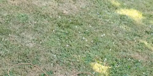 Atelier Vannerie - D\u00e9corations ext\u00e9rieures (Fleurs & Compagnie)