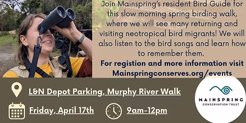 Bird Guide hosted by MainSpring Conservation Trust