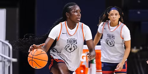 Parking Auburn Tigers at Texas Longhorns Womens Basketball