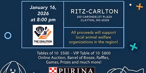 New Year For the Strays