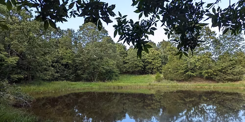 Posture This! A Closer Look at Upper\/Lower Postural Imbalances