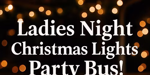 Ladies Night Christmas Lights Party Bus