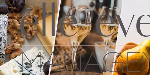 Cheese Tasting Experience Evening
