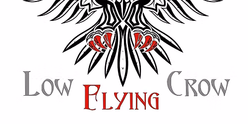 Low flying crow @ The Avenue, Hull 