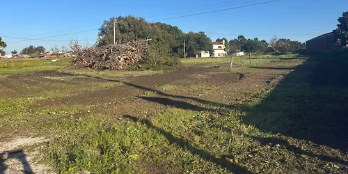 Fogueira de Natal 2025