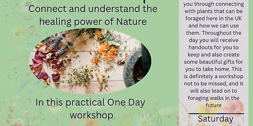 Herbal Wisdom Workshop
