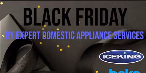 Expert Domestics Black Friday Event